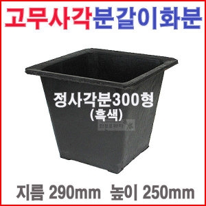정사각분300형 흑색 /블루베리/플라스틱/대형고무화분