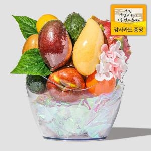 라라르떼 와인버킷 과일 바구니선물세트 소형 3.1kg (1개)_이미지