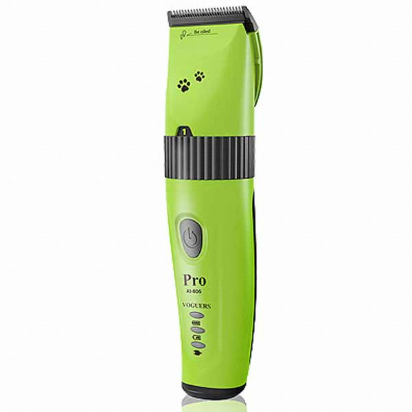 보거스 AI-806_이미지