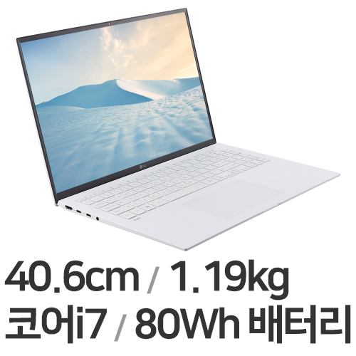 LG전자 2021 그램16 16ZD90P-GX7TK (SSD 256GB)