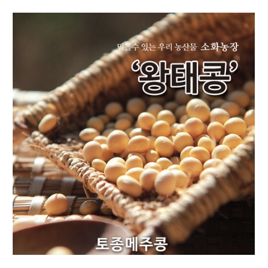왕태(메주콩) 1kg
