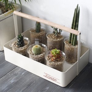 ��ǰ �� �̹���