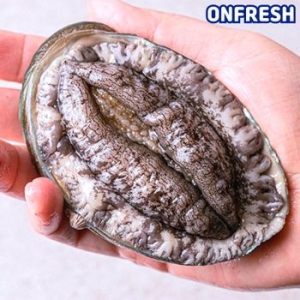 바다온 완도활전복 9~10미 1kg (1개)