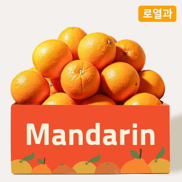 오렌지 8-10입 2kg