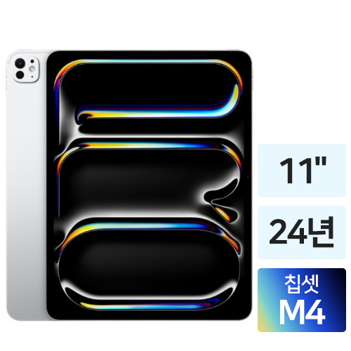 APPLE 2024 iPad Pro 11 M4 Cellular 중고 (512GB)