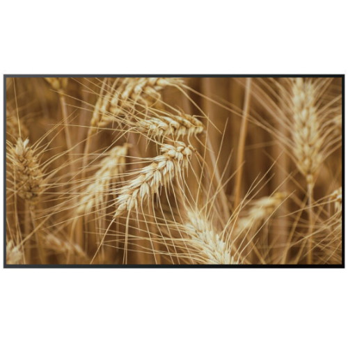 �Ｚ���� QLED KQ65QD75AFXKR