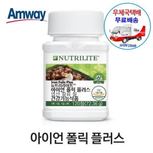암웨이 아이언폴릭 엽산 철분제 우체국택배