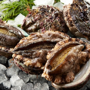 갯마을 활전복 1kg 12-13미 갯마을 활전복 1kg 12-13미