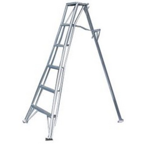 �μ���ٸ� �������� ��ٸ�