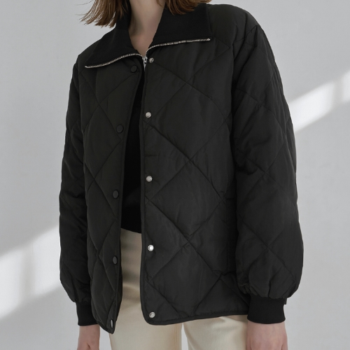 ���̿������� ���� ���� ��ī�� �ٿ� ���� JP-521