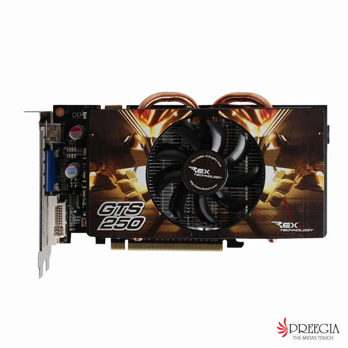 Rextech 지포스 GTS250 Rexian D3 1GB DP-905_이미지