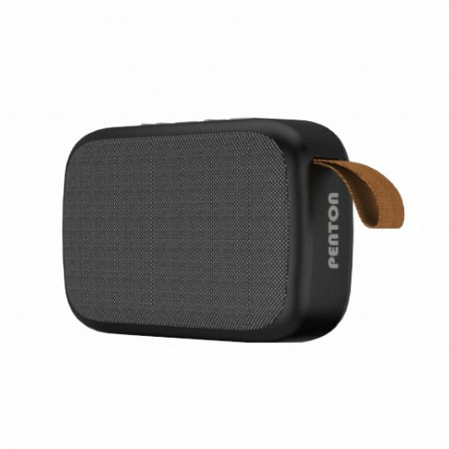 �ǿ����� ��ó�� PENTON T1