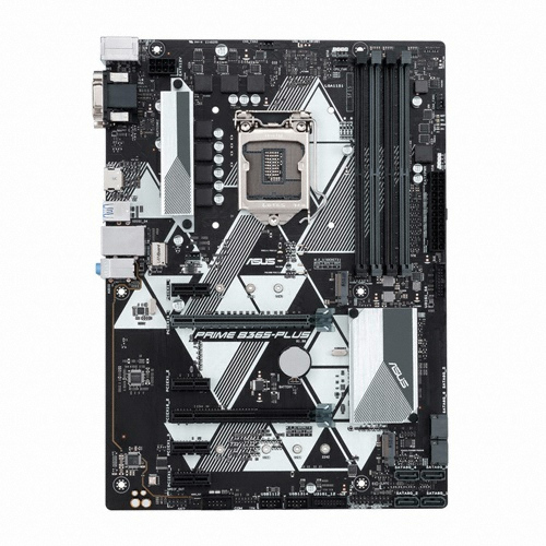 ASUS PRIME B365-PLUS 코잇