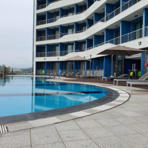 �԰��� SLȣ�� (����)