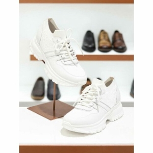 여성 어글리 스니커즈 6CM ALS401IW30
