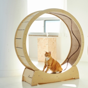 집사의반격 스타캣휠 물고기 DIY 1060 (+내부카페트)