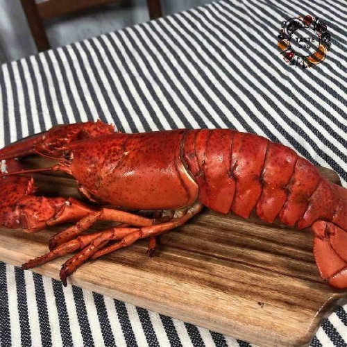 부경수산 테이스트킹 캐나다 냉동 자숙 랍스터 450g (4개)_이미지