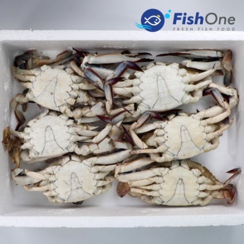 피시원 이력추적 살이꽉찬 국산 통 숫꽃게 냉동 1kg_이미지