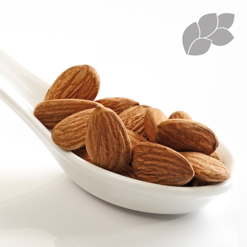 구운아몬드 1kg