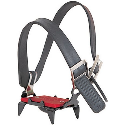 몰리 배꼽 아이젠