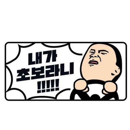 고휘도 야광스티커 초보운전 스티커 내가초보라니