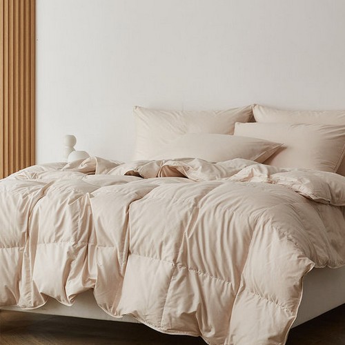 Ŭ�����к긯 �밡�� 80% ���Ŀ� �����̺�