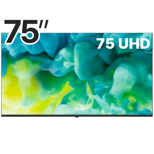 델리파스 D750 UHD (벽걸이)