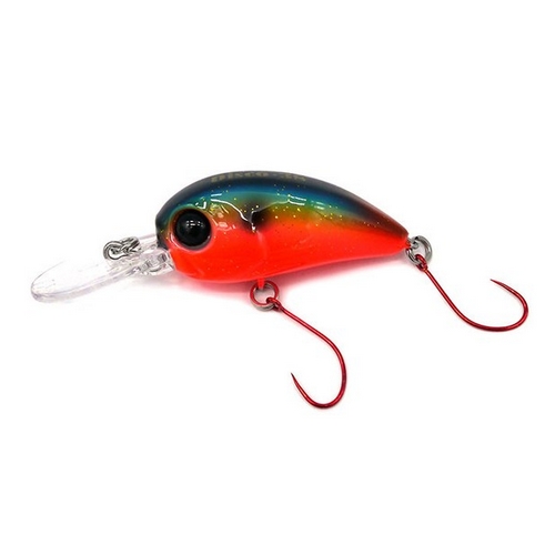 다미끼 디스코 딥 38이미지입니다. 누르면 해당 게시물로 새창이동합니다.