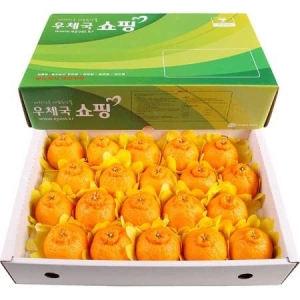 우체국쇼핑 올찬 한라봉 19-23과 5kg (1개)
