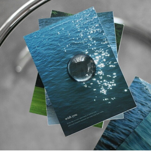 위시유 다이어리