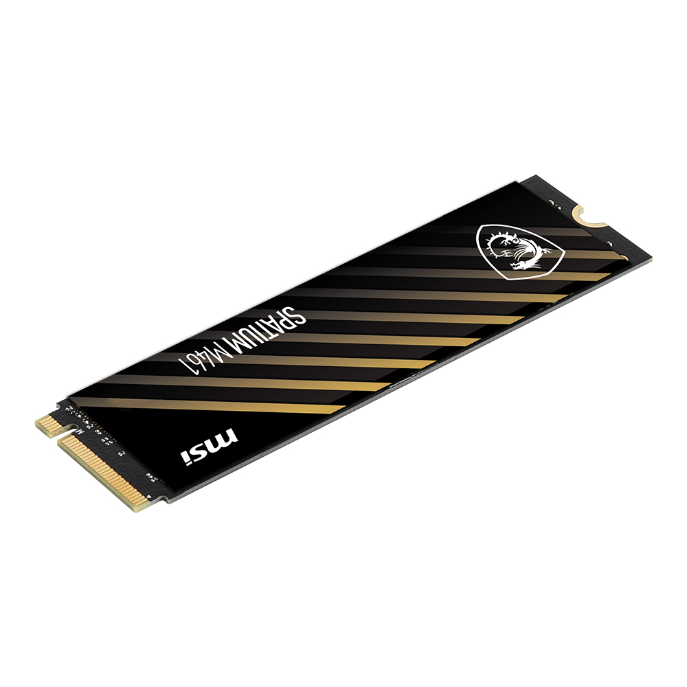 MSI SPATIUM M461 M.2 NVMe