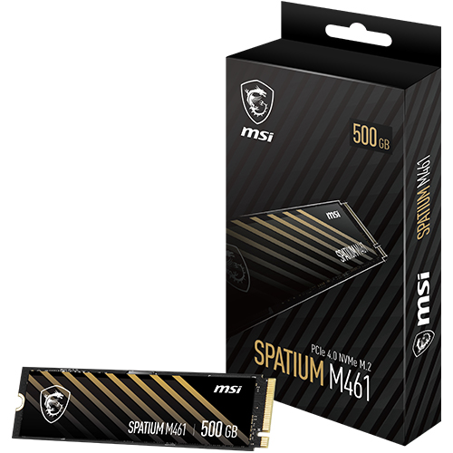 MSI SPATIUM M461 M.2 NVMe (500GB)_이미지