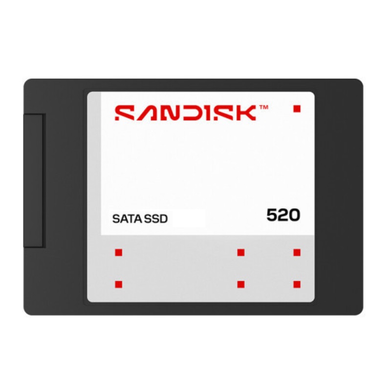 Sandisk 520 SSD (1TB)_이미지