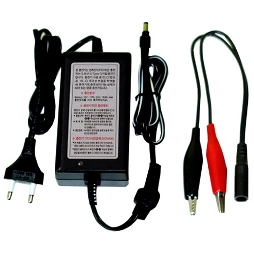 스쿠터 오토바이 배터리 충전기