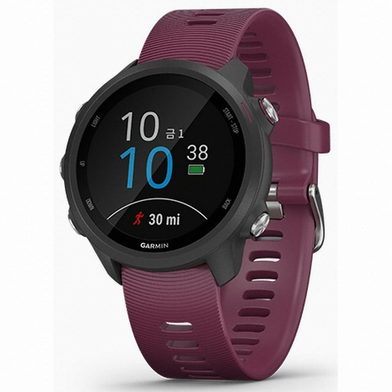 가민 포러너 245 (해외구매)_이미지