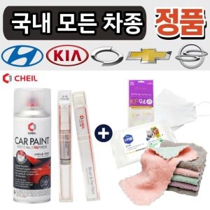 기아 쌍용 삼성 쉐보레 차량용 붓펜 붓페인트 자동차 붓펜 도색 스프레이 카페인트 퍼티