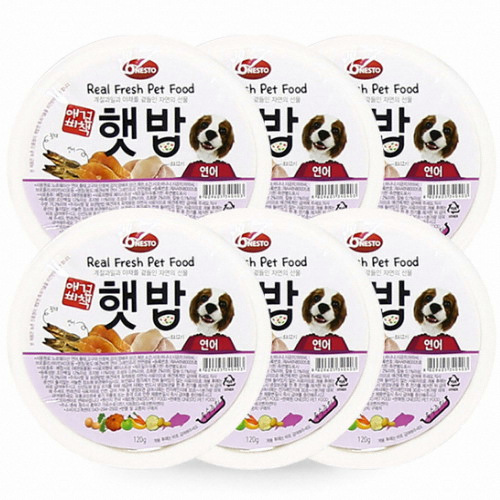 애견비책 햇밥 연어 120g