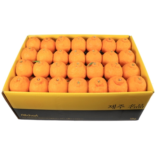 삼다몰 제주 꼬마한라봉 중과 10kg_이미지