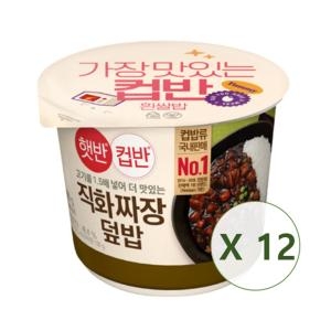 CJ제일제당 햇반 컵반 직화볶음 짜장덮밥 280g_이미지