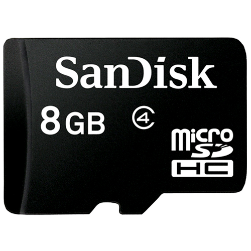Sandisk micro SD 2010 (8GB)_이미지