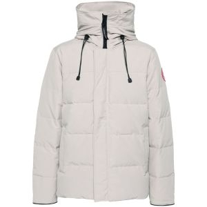 ĳ���ٱ��� ���� �ƹж� ��ī �е�_3804M 22454202