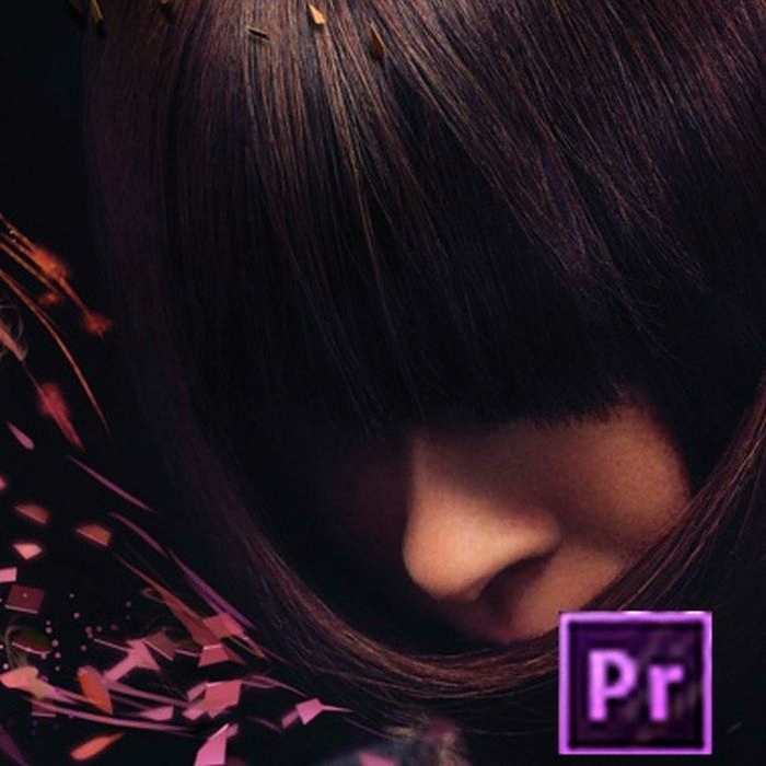 Adobe Premiere Pro CS6 (라이선스 한글)