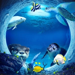 [불명] 대전 엑스포 아쿠아리움 입장권_이미지