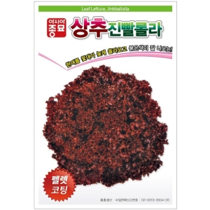 아시아종묘 상추씨앗종자 진빨롤라 펠렛코팅 300립_이미지