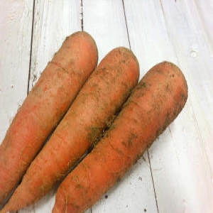 바르다야채 국내산 흙당근 특 3kg, 5kg, 10kg