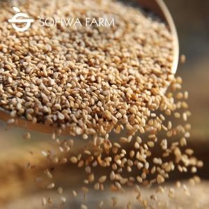 소화농장 햇참깨 1kg 국산참깨_이미지
