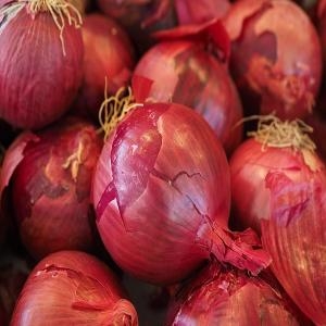 산해식품 몸에 좋은 무안 황토 햇자색양파 햇적양파 10kg