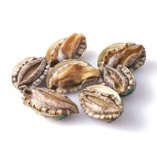 완도전복주식회사 특大활전복 고급횟감용 8-9미 1kg (1개)