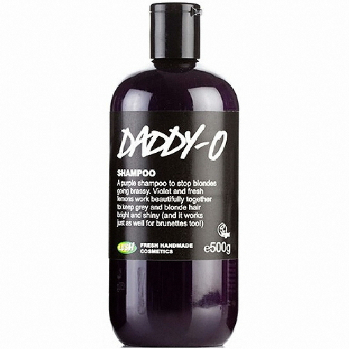 대디오 리퀴드 샴푸 500g
