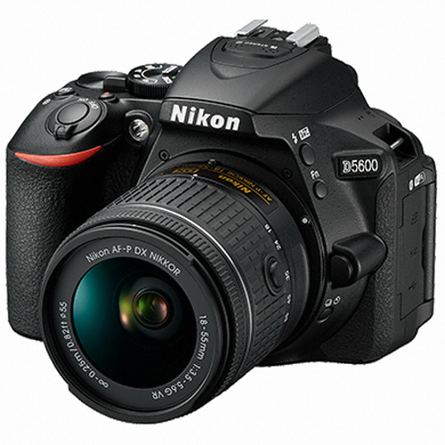 ���� D5600 �ٵ�